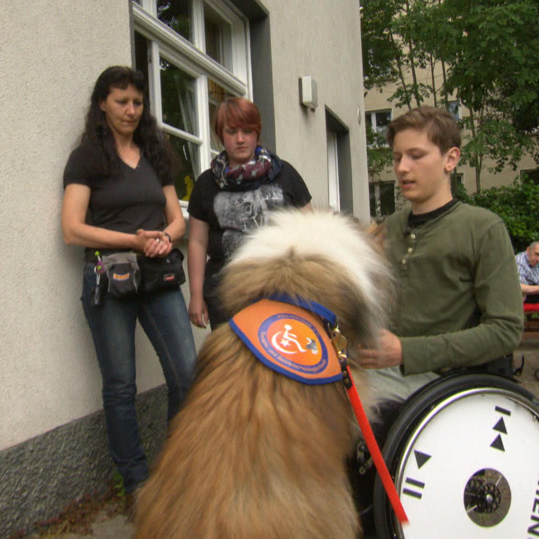 TG3 - Rollidogs - VOX - Yannick und Milo bei ihrer Prfung. Die Prferinnen achten auf jedes Detail