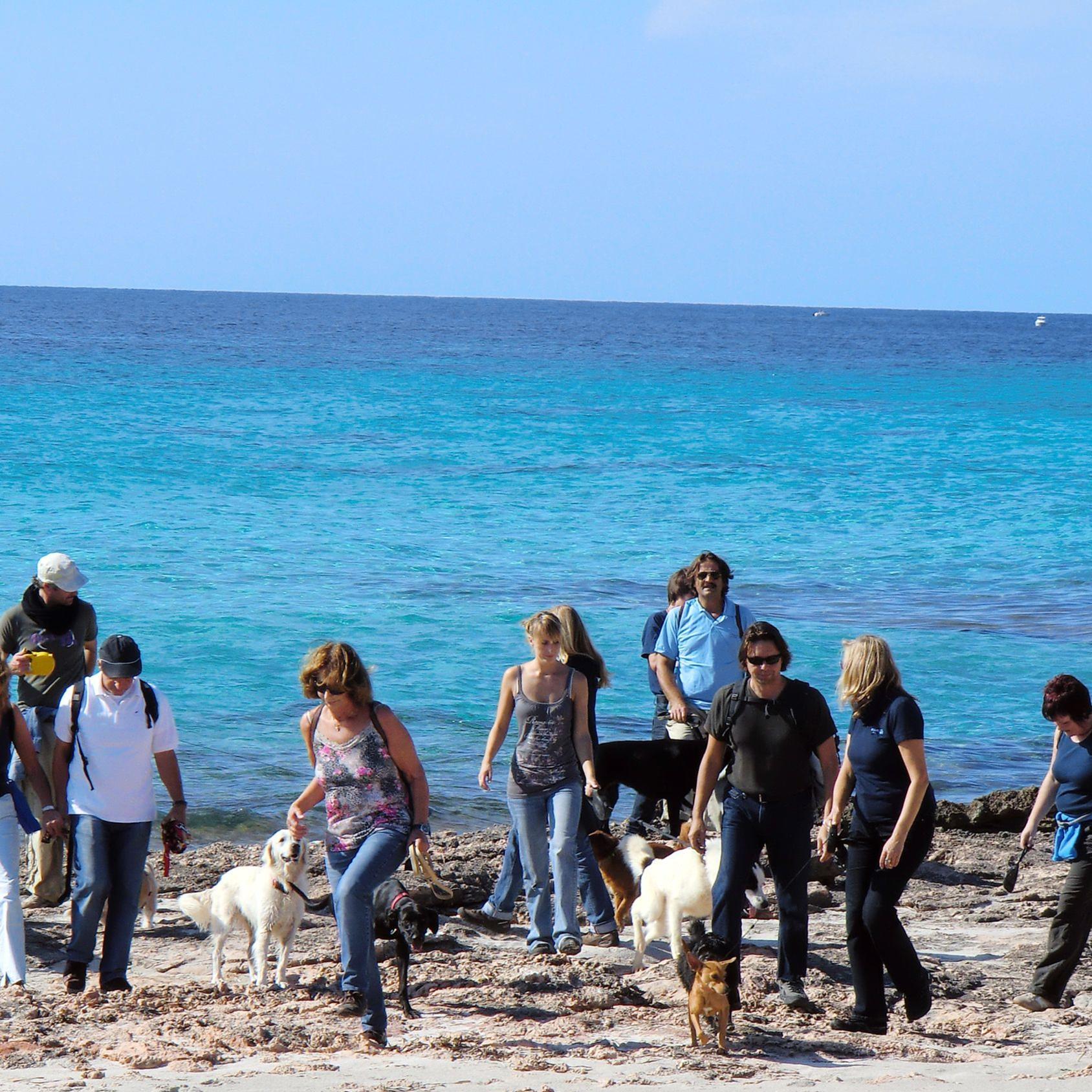 Tiergeschichten3 - Hundewandern.jpg Tiergeschichten3 - Hundewandern.jpg