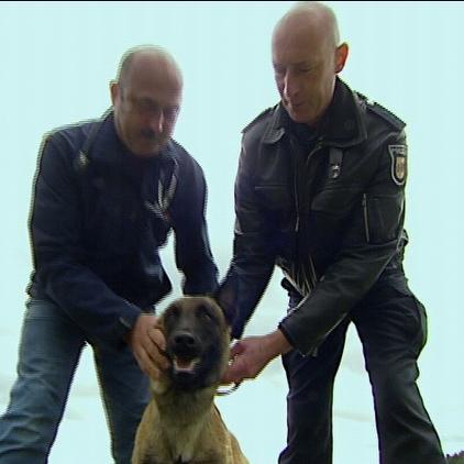 LTA Linke Polizei-Hunde LTA Linke Polizei-Hunde