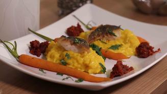 Loup de Mer an Safranrisotto mit Pesto