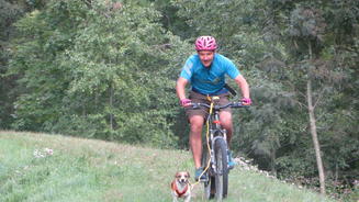 Der IronDog