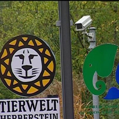 tierwelt herberstein tierwelt herberstein