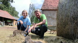 Eine schwierige Tierliebe