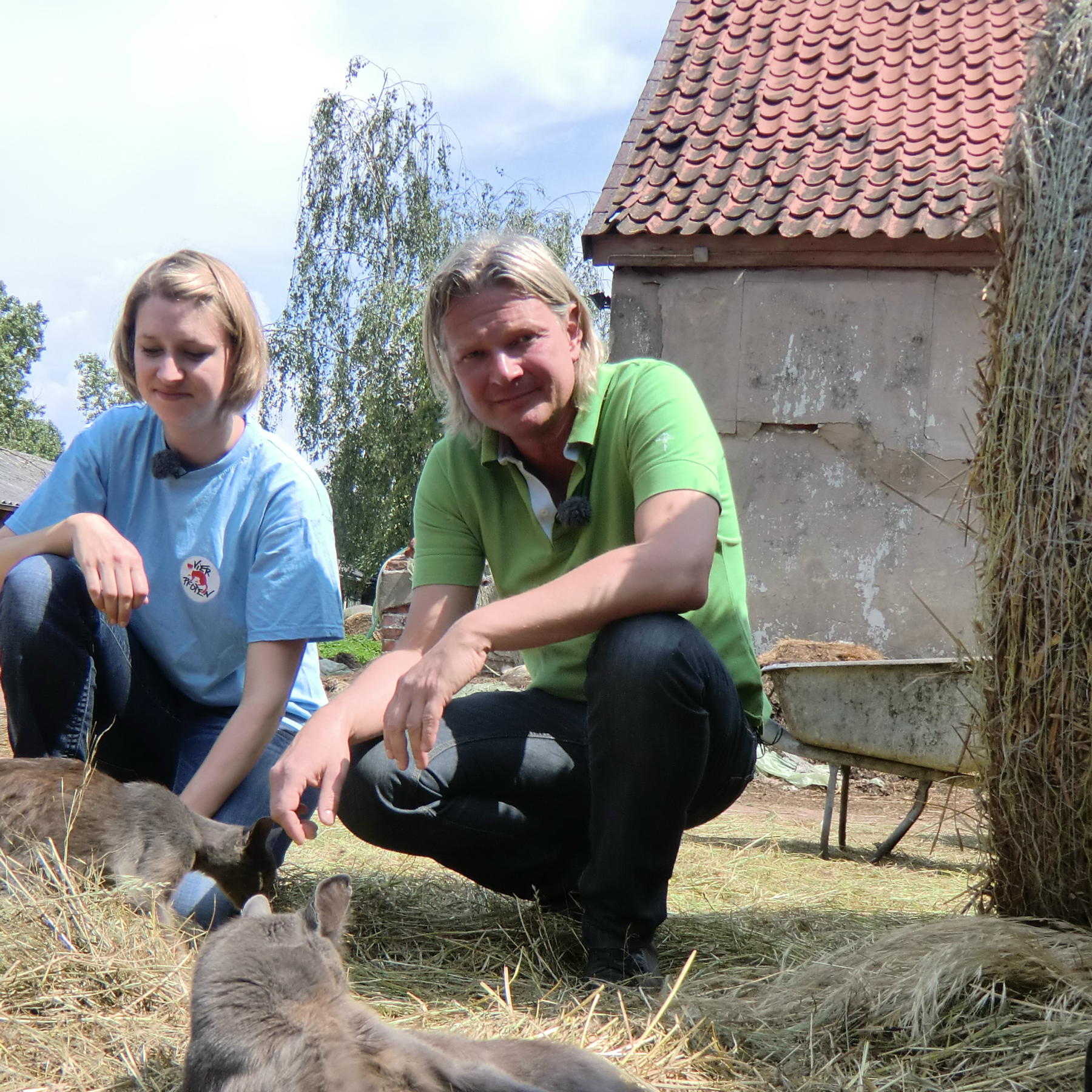 Tiere in Not1 - Frank Sandra Hnisch und Katzen Tiere in Not1 - Frank Sandra Hnisch und Katzen
