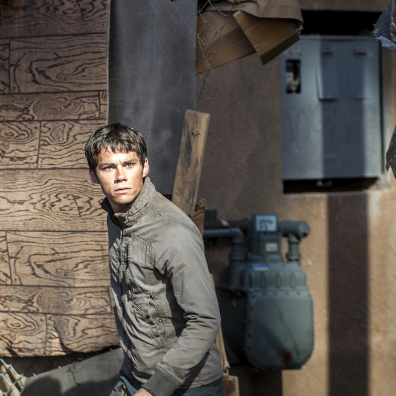 maze runner (2) maze runner (2)