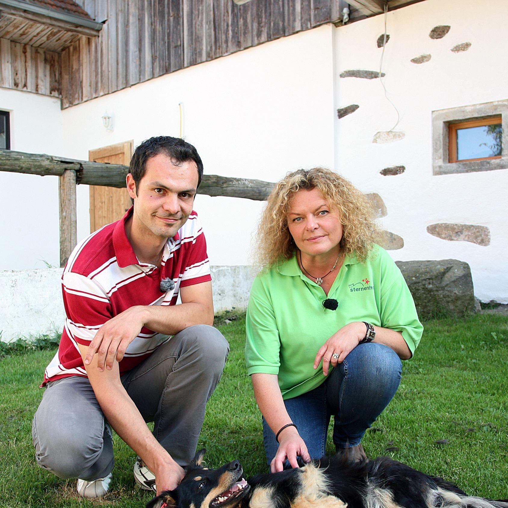 tiergeschichten3.jpg