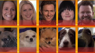 Die Ähnlichkeit von Hund und Halter