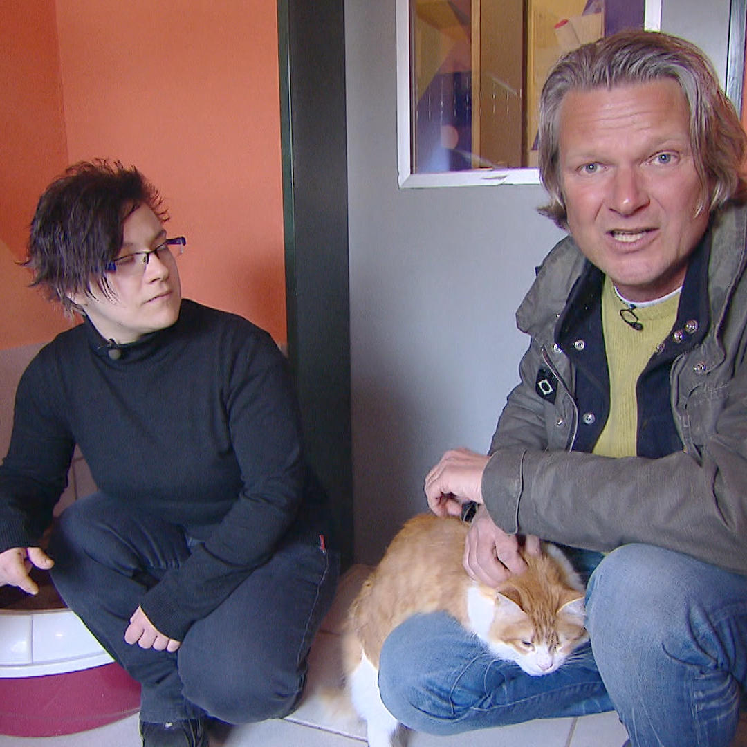 01 Blinde Katze.VOX 01 Blinde Katze.VOX