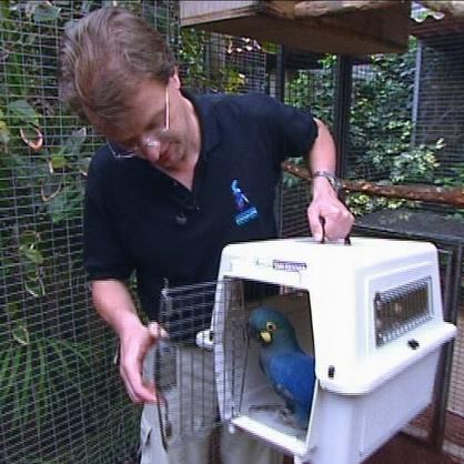 tiergeschichten2 a2 tiergeschichten2 a2