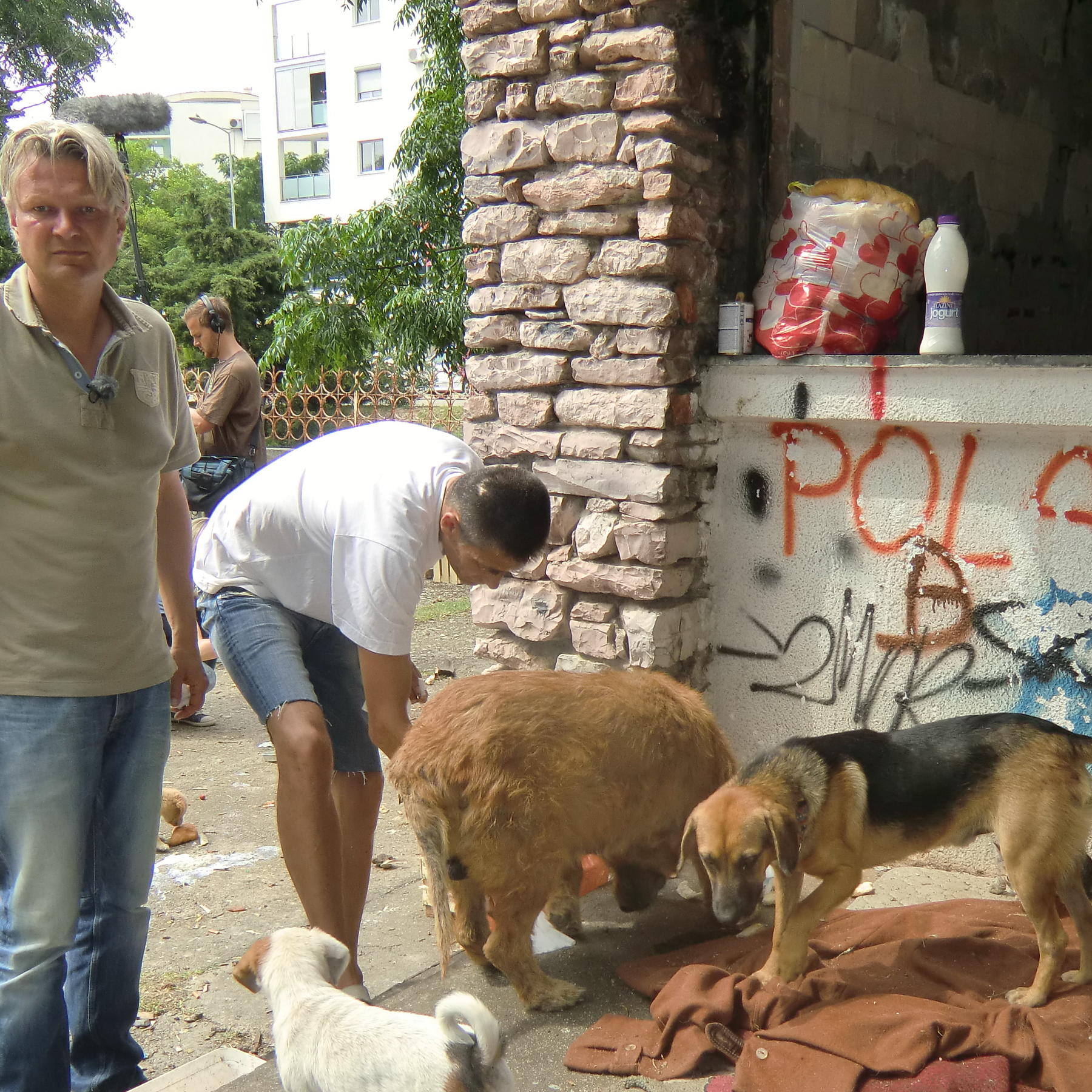 Vorschau1 - VOX-DOCMA TV - Frank Weber und Straenhunde in Montenegro Vorschau1 - VOX-DOCMA TV - Frank Weber und Straenhunde in Montenegro