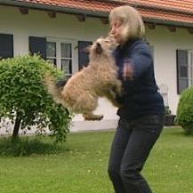 tiergeschichten1 a2 tiergeschichten1 a2