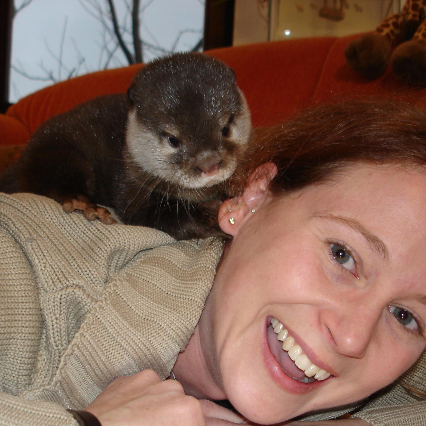 Otter 086 Otter 086