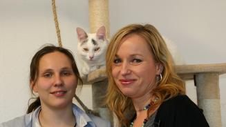 Ein Katzenduo auf Diebestour