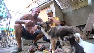 Harte Hunde - Tierretter in Rumänien