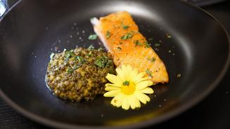 Beschwipster Lachs