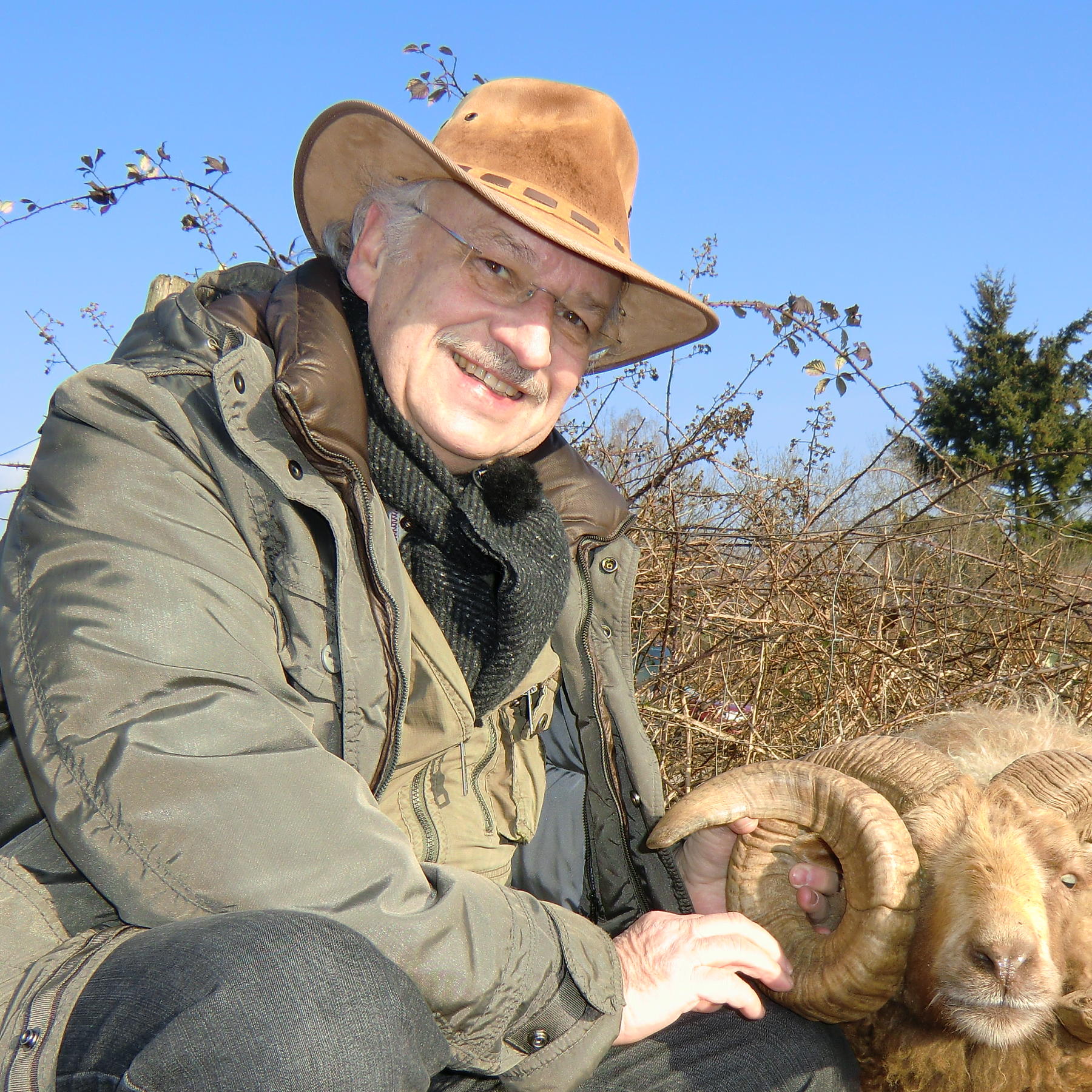 Sprechstunde - Bild 1 - Dr. Wolf soll Schafbock enthornen Sprechstunde - Bild 1 - Dr. Wolf soll Schafbock enthornen