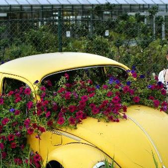 Zweckentfremdet: Ein Käfer voller Blumen