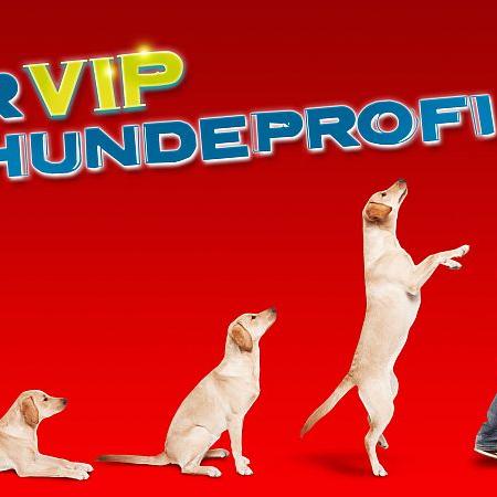 vip hundeprofi.jpg vip hundeprofi.jpg