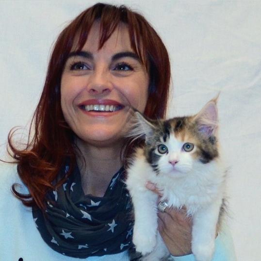 Tiergeschichten1 - VOX-DOCMA TV-TOBIAS BRODHUN - Diana begleitet Umzug eines Maine Coon Ktzchens Tiergeschichten1 - VOX-DOCMA TV-TOBIAS BRODHUN - Diana begleitet Umzug eines Maine Coon Ktzchens
