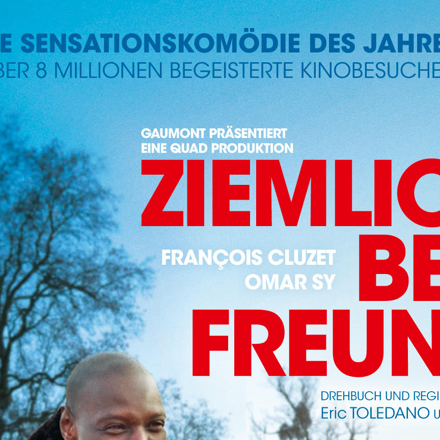 ZiemlichBesteFreundePackshotDVD2D ZiemlichBesteFreundePackshotDVD2D
