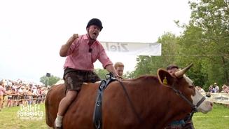 Detlef und Panagiota reiten Ochsen