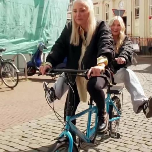 Heute testen die Promis! Es wird gesägt, geblasen und gelogen.