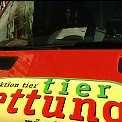 tierrettung muenchen tierrettung muenchen
