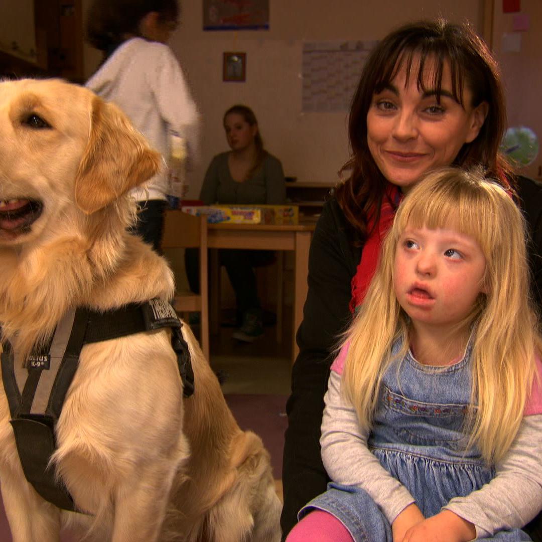 Tiergeschichten2 - Diana und Therapiehund Tiergeschichten2 - Diana und Therapiehund