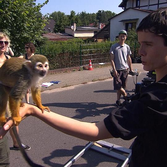 Tiergeschichten3 - VOX-DOCMA TV - Totenkopfffchen Charly trifft am Set auf Schauspieler Benno Frmann Tiergeschichten3 - VOX-DOCMA TV - Totenkopfffchen Charly trifft am Set auf Schauspieler Benno Frmann