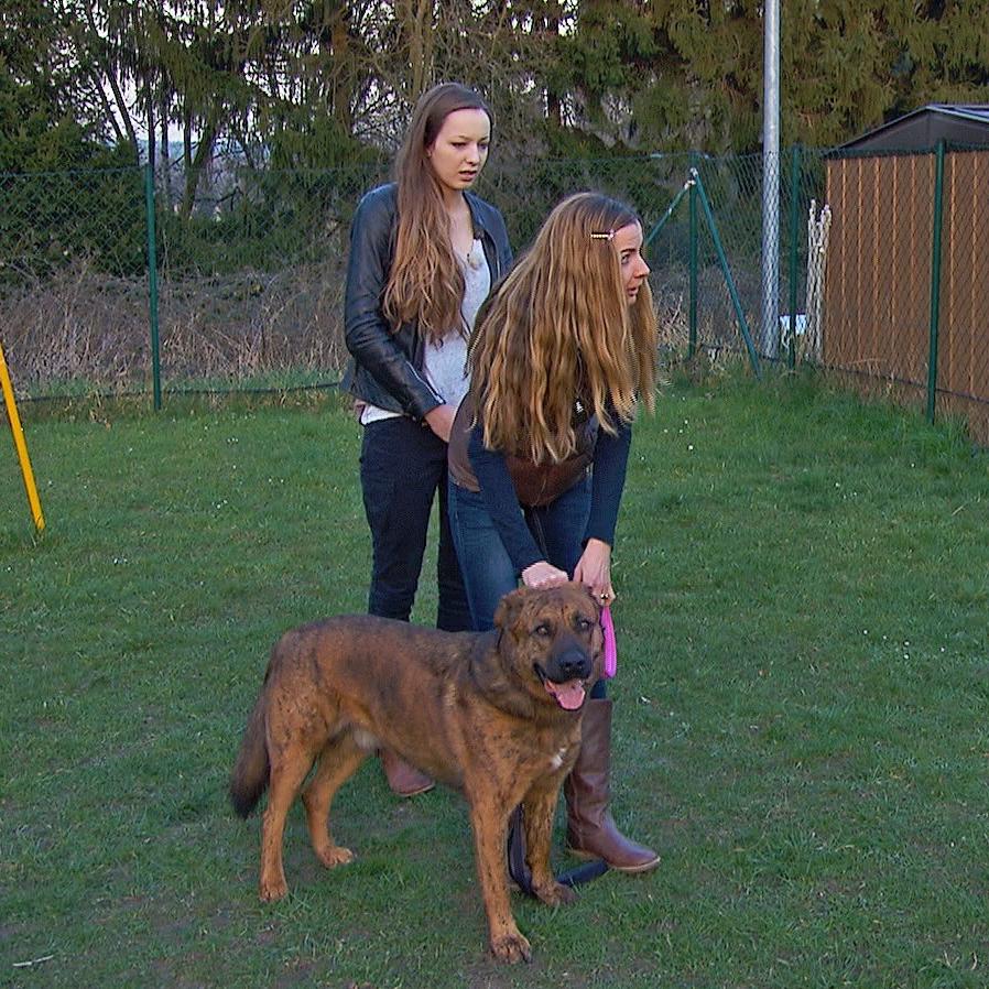 Aiko Vorschau Teaser.jpg Aiko Vorschau Teaser.jpg