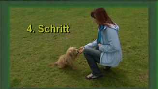4 Schritte zum Ziel
