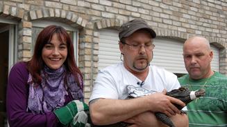 hundkatzemaus am 05.06.2010