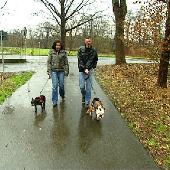 herrchen sucht frauchen fall 1b herrchen sucht frauchen fall 1b