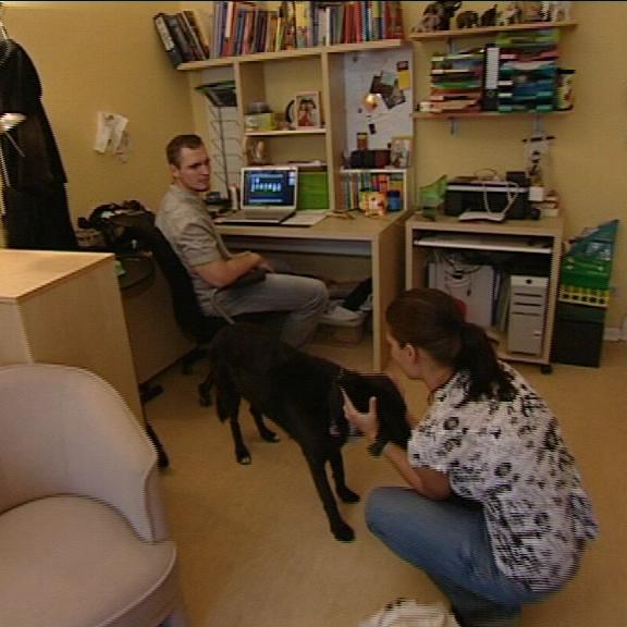 tieranwältin a tieranwältin a