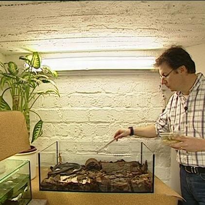 tiergeschichten2 bork + terrarium