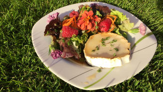 Salat mit warmem Ziegenkäse und Honig