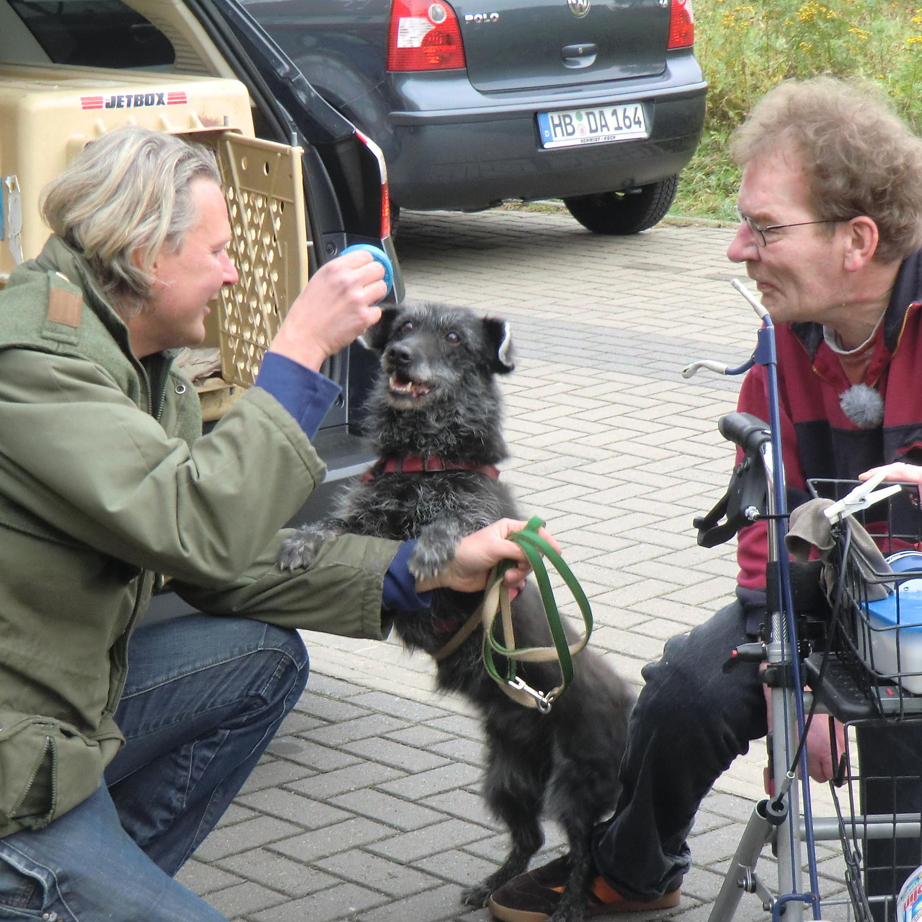 Tiere in Not - Frank Weber-Troika Tiere in Not - Frank Weber-Troika