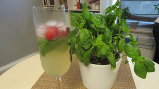 Himbeer Basilikum Mule