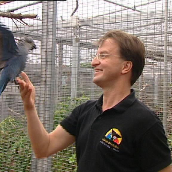 tiergeschichten2 b tiergeschichten2 b