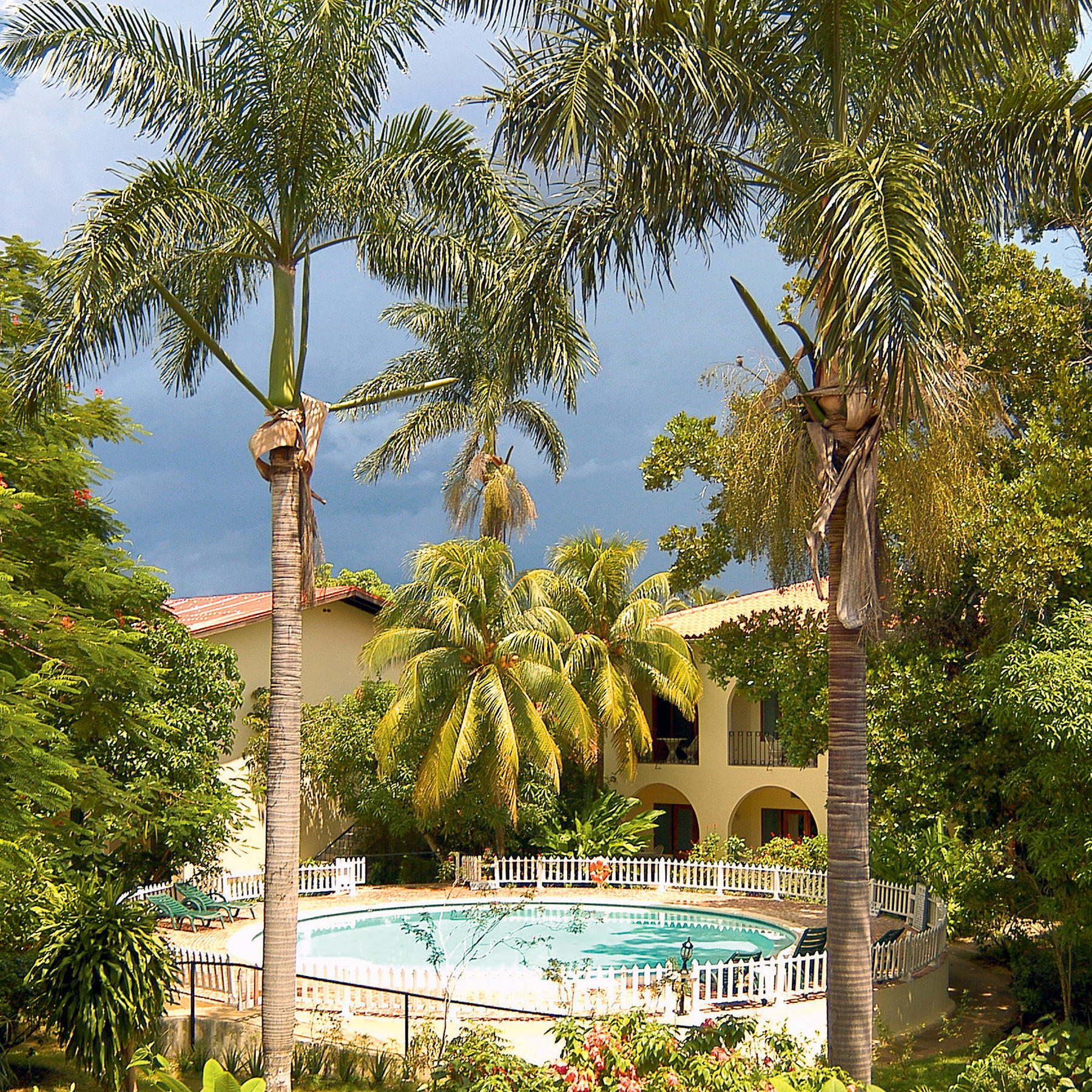 Jamaica 83614 502 (2).jpg Jamaica 83614 502 (2).jpg