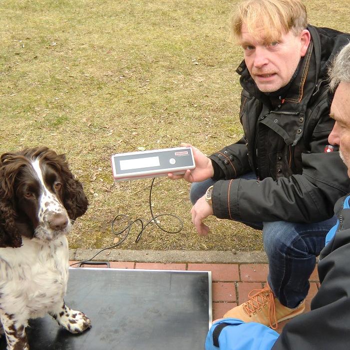 Vorschau3 - VOX-DOCMA TV - Mini-Serie ACH DU DICKER HUND - Lombardi ermittelt Charlys Startgewicht Vorschau3 - VOX-DOCMA TV - Mini-Serie ACH DU DICKER HUND - Lombardi ermittelt Charlys Startgewicht