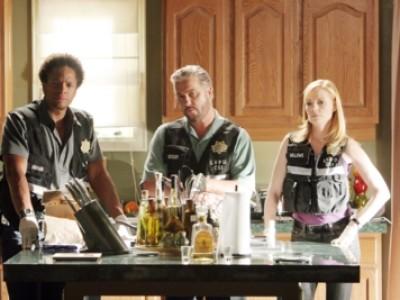 CSIStar Warrick Brown