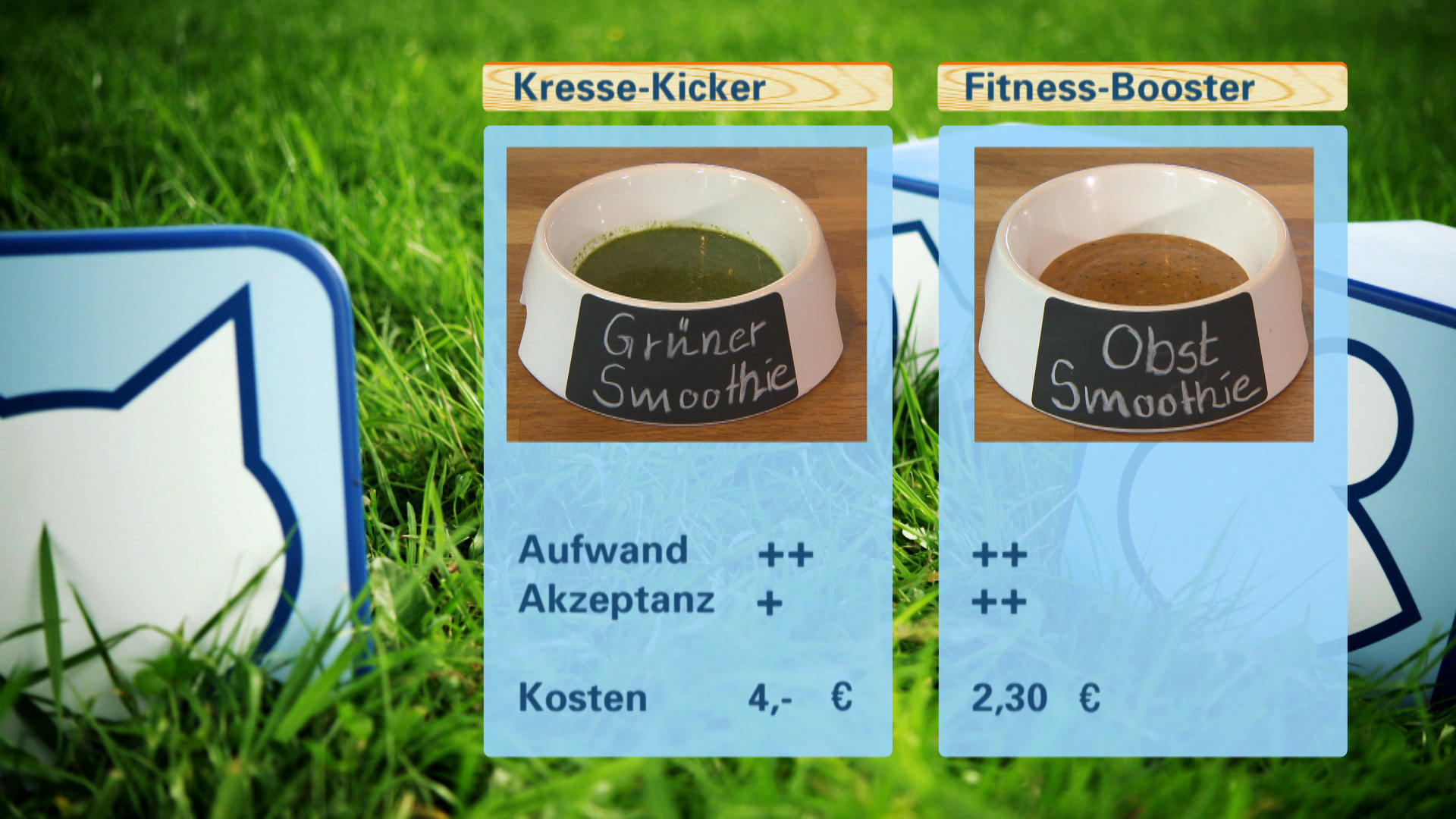 hundkatzemaus Smoothies für Hunde