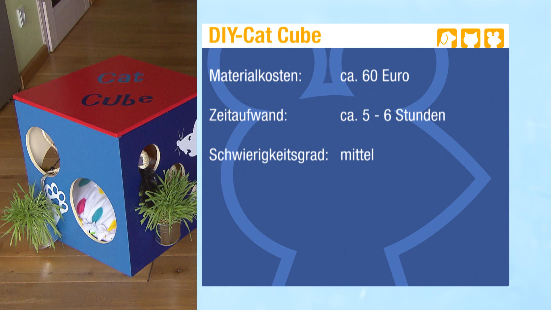 Hundkatzemaus Der Cat Cube Ein Spielwürfel Für Katzen