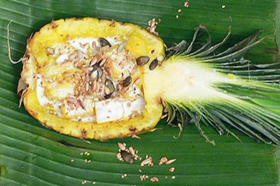 Rezeptbild