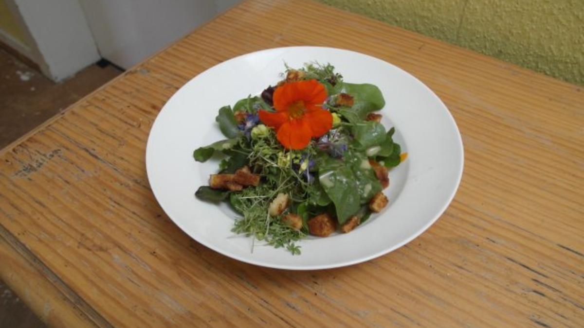 Das perfekte Dinner Rezepte - Wildkräuter-Blumensalat