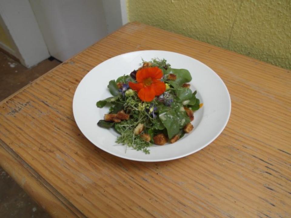 Rezeptbild