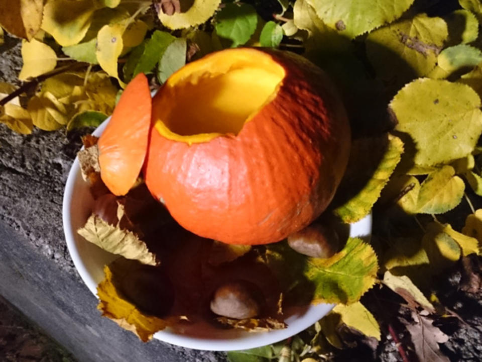 Rezeptbild