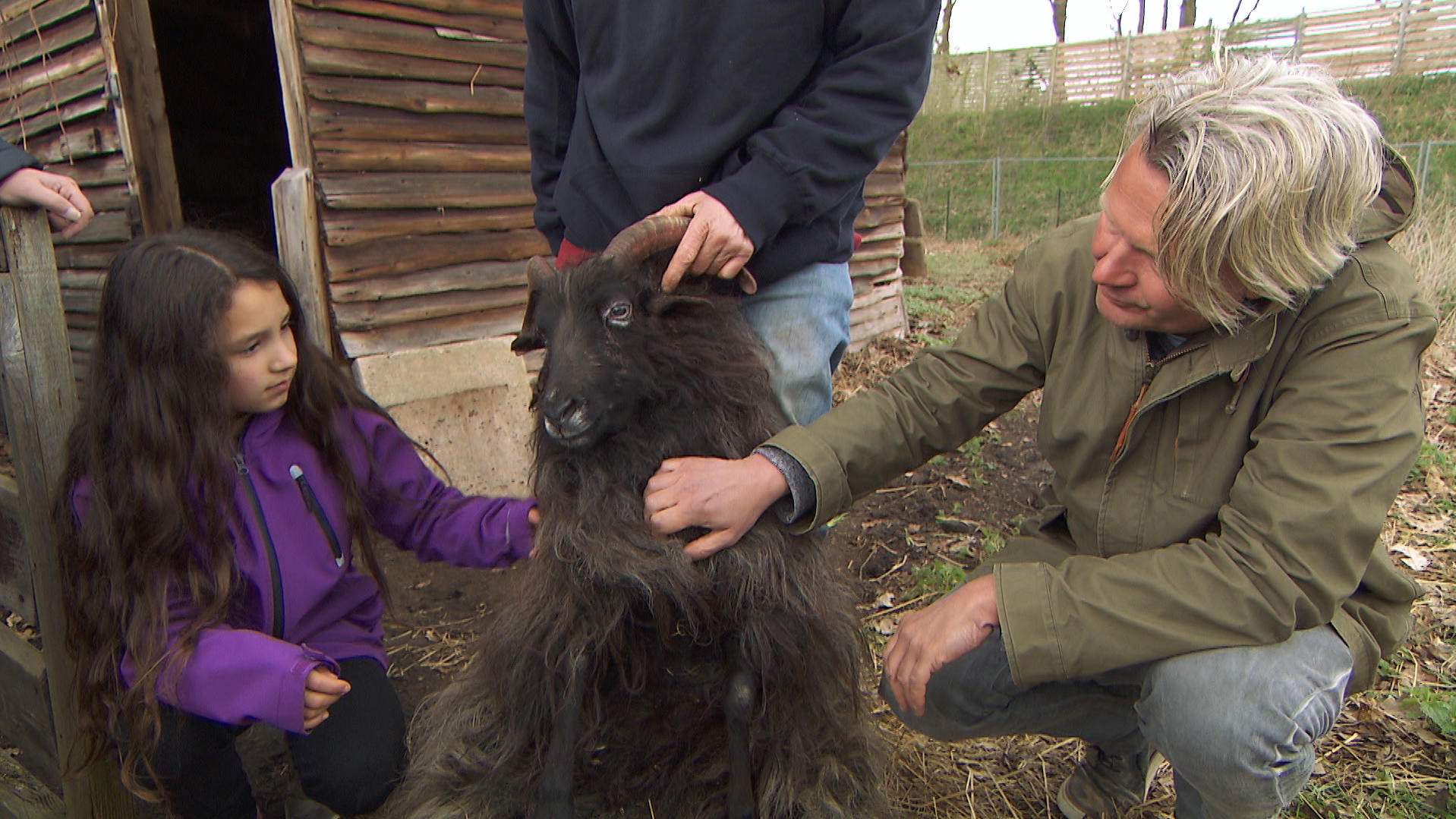 Hundkatzemaus Heidschnucke Alte Sucht Ein Neues Zuhause