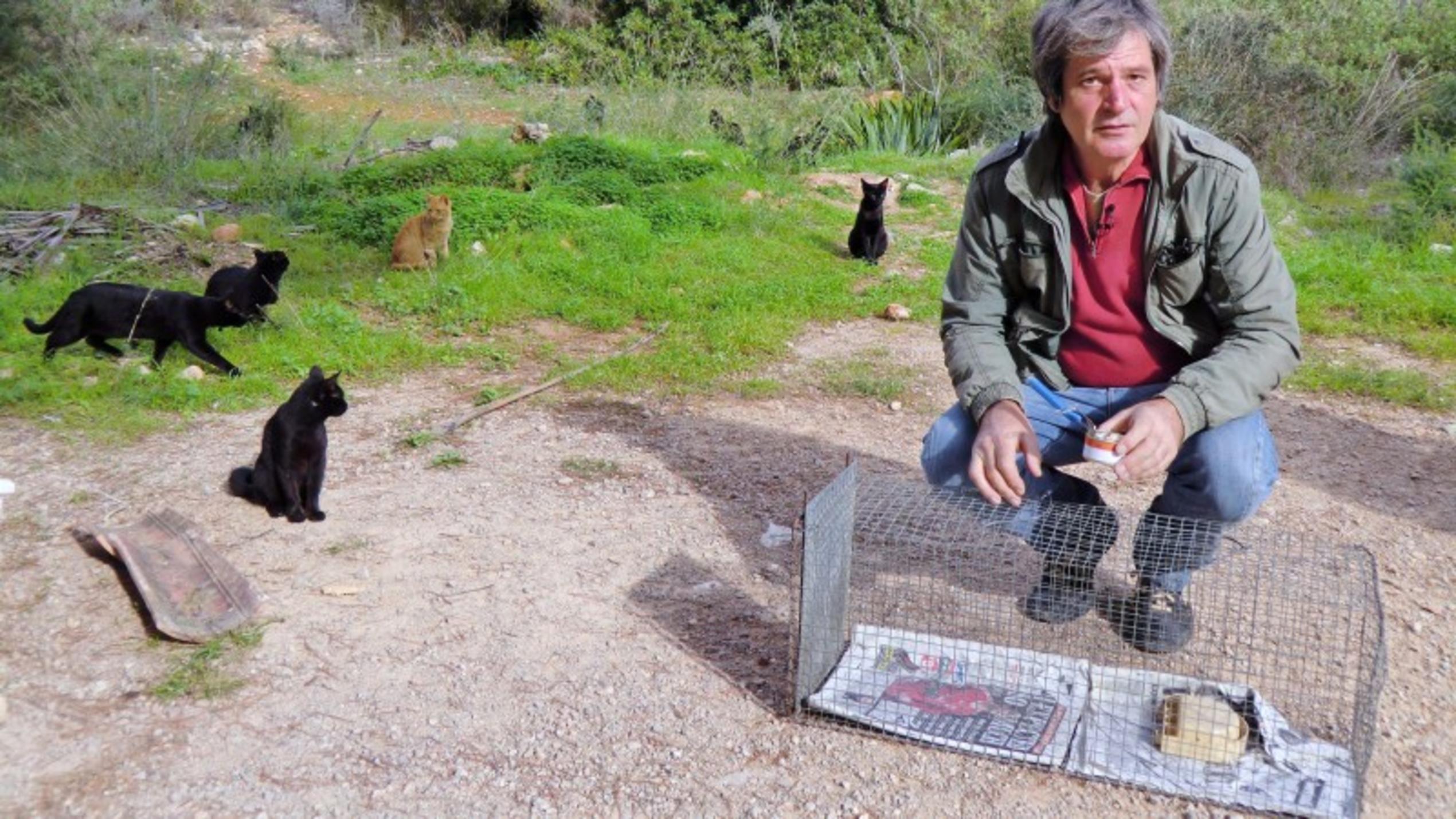 Karl Miesel (54) vom Tierheim Calvia bei der Fütterung und Fangaktion verwilderter Katzen. Foto: VOX/DOCMA TV/Dr. Gerald Krakauer